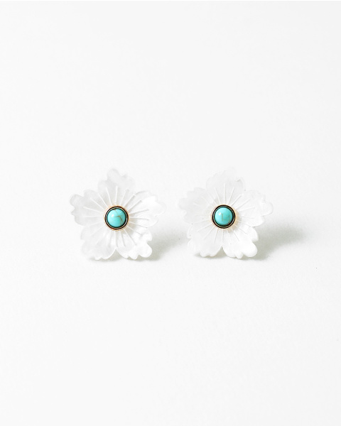 fes8e4917